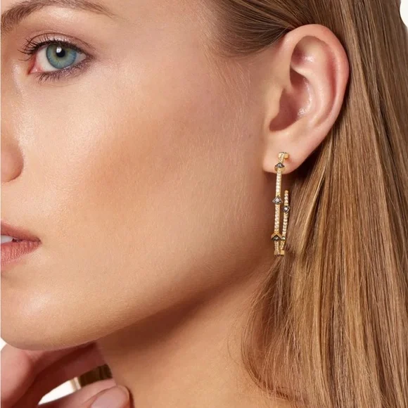 Freida Rothman Best Selling Pave Arrow Hoop Earrings, NWOT - Picture 2 of 9